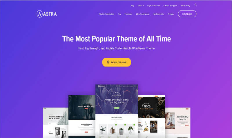 Astra - The Most Popular Theme fo All Time